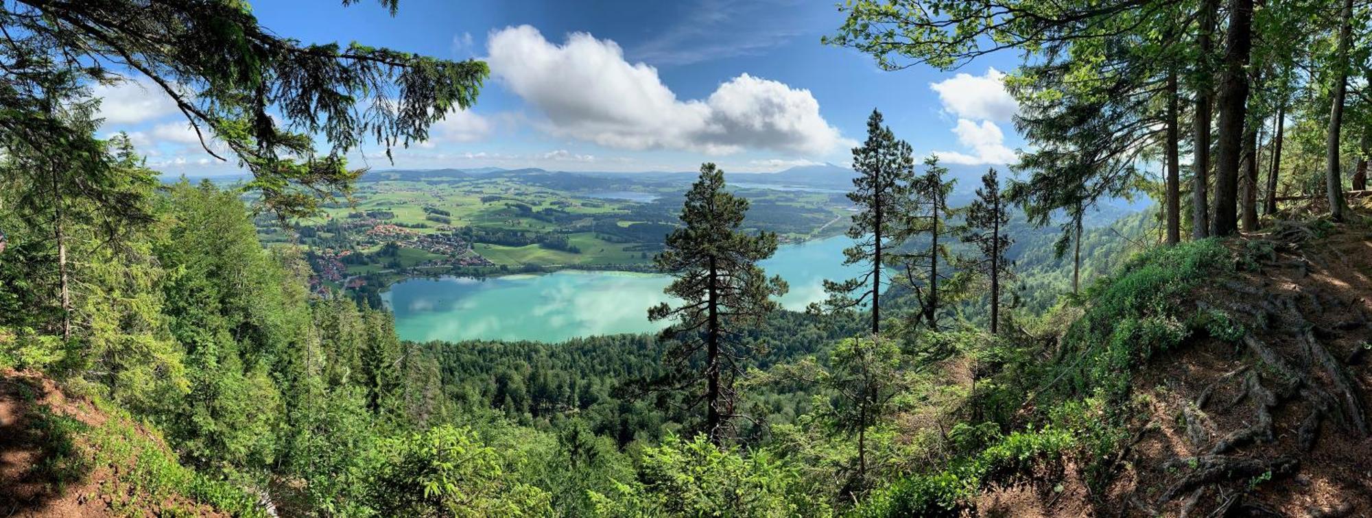 Alpenrose Appartements Nesselwang Eksteriør billede